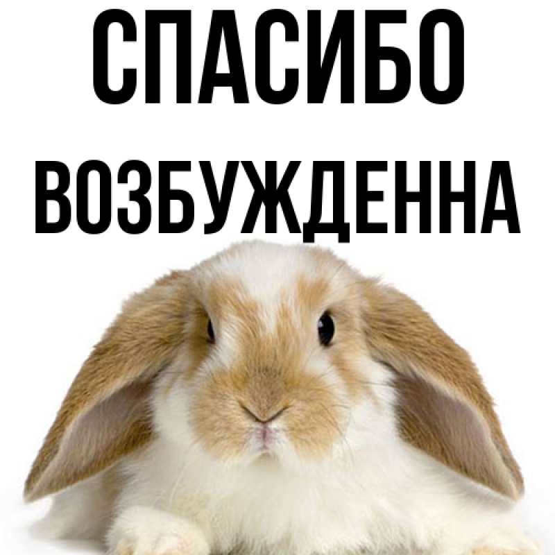 Картинка Спасибо, Возбужденна