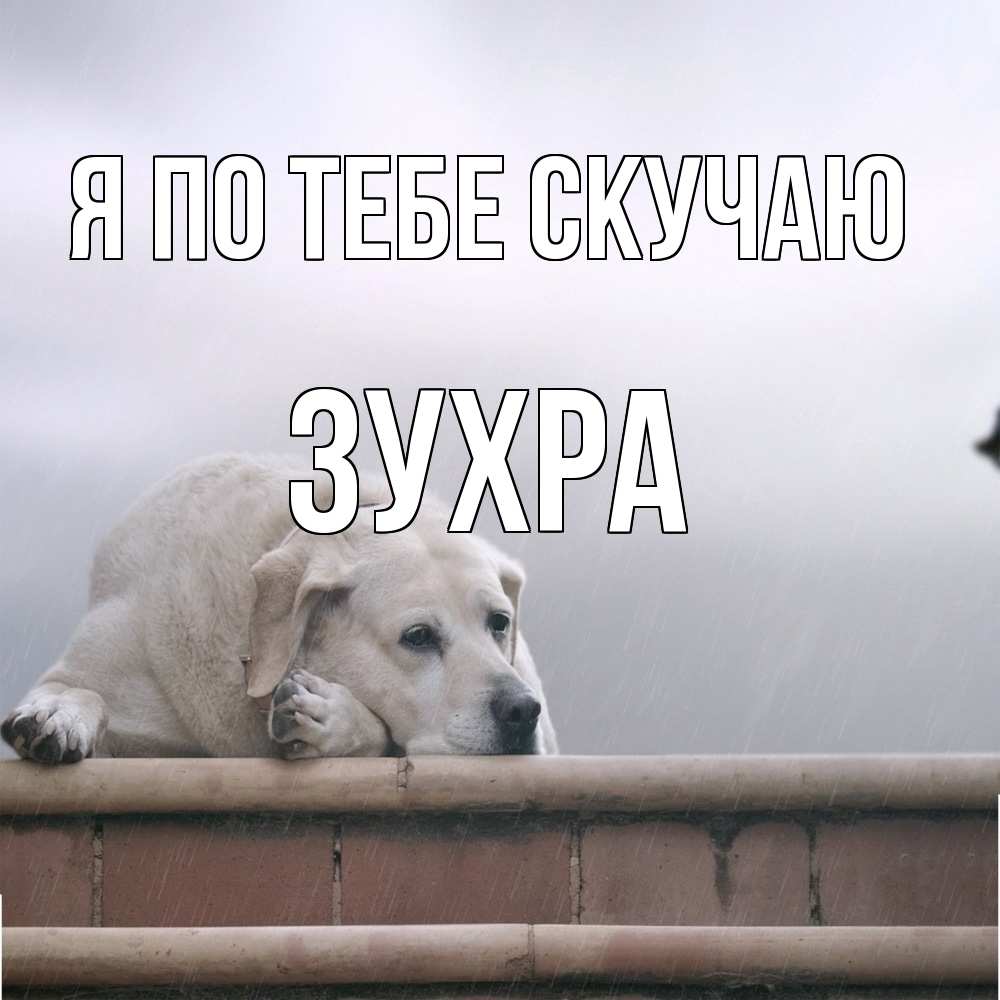 Открытка на каждый день с именем, Зухра Я по тебе скучаю ждет Прикольная открытка с пожеланием онлайн скачать бесплатно 
