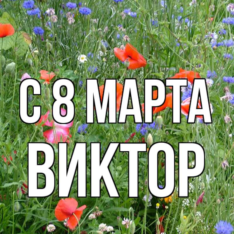 Картинка C 8 МАРТА, Виктор