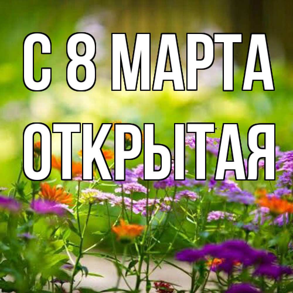 Открытка на каждый день с именем, открытая C 8 МАРТА цветы Прикольная открытка с пожеланием онлайн скачать бесплатно 