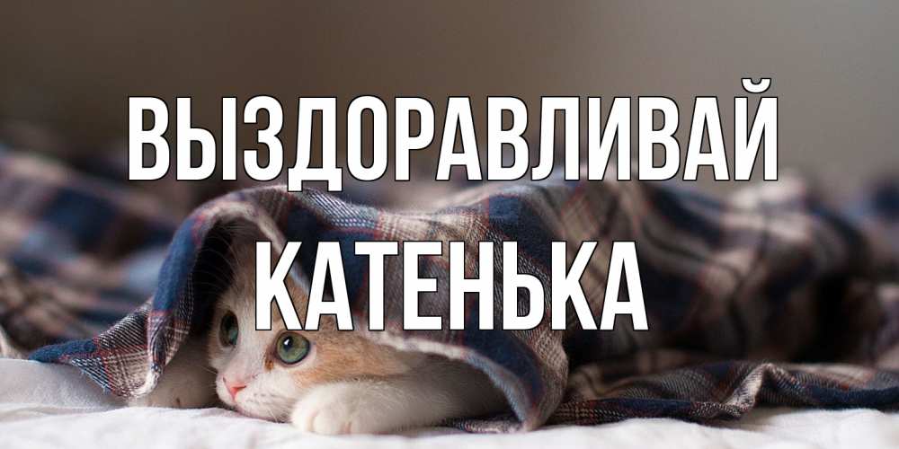 Открытка на каждый день с именем, Катенька Выздоравливай не болейте с котиком Прикольная открытка с пожеланием онлайн скачать бесплатно 