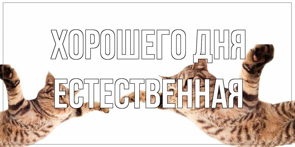 Открытка на каждый день с именем, Естественная Хорошего дня хорошего дня Прикольная открытка с пожеланием онлайн скачать бесплатно 