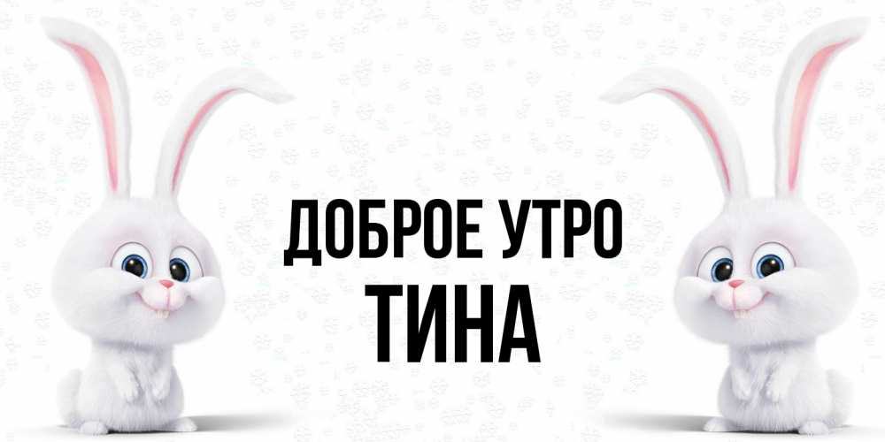 Открытка на каждый день с именем, Тина Доброе утро кролики с длинными ушками Прикольная открытка с пожеланием онлайн скачать бесплатно 