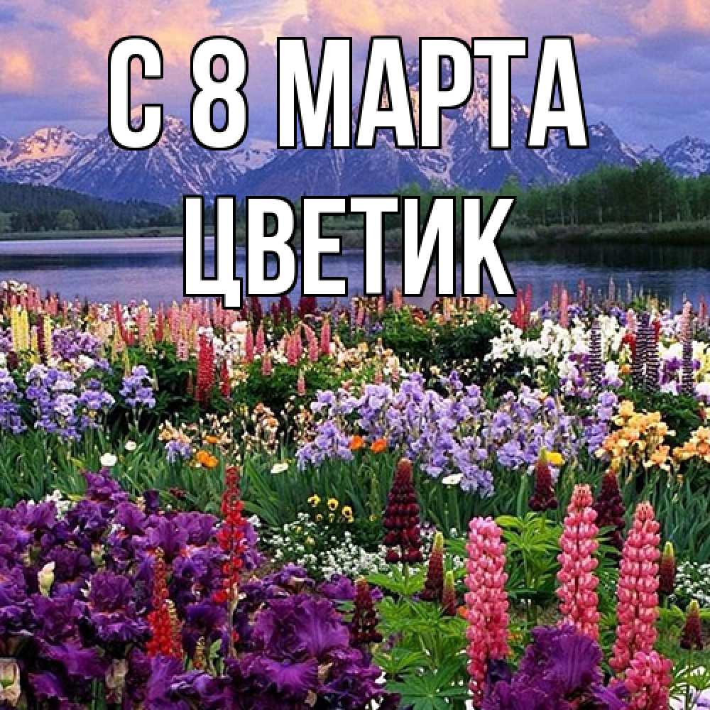 Открытка на каждый день с именем, цветик C 8 МАРТА международный женский день Прикольная открытка с пожеланием онлайн скачать бесплатно 
