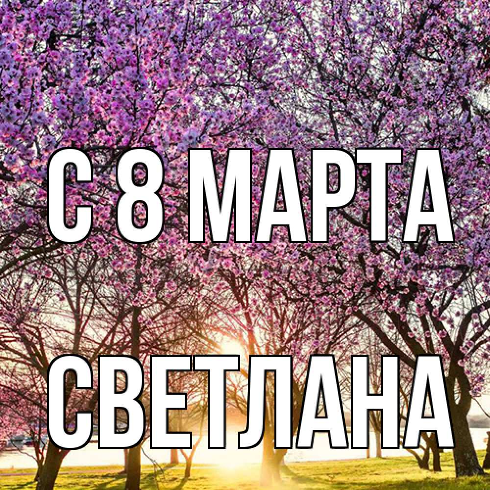 Открытка на каждый день с именем, Светлана C 8 МАРТА международный женский день Прикольная открытка с пожеланием онлайн скачать бесплатно 