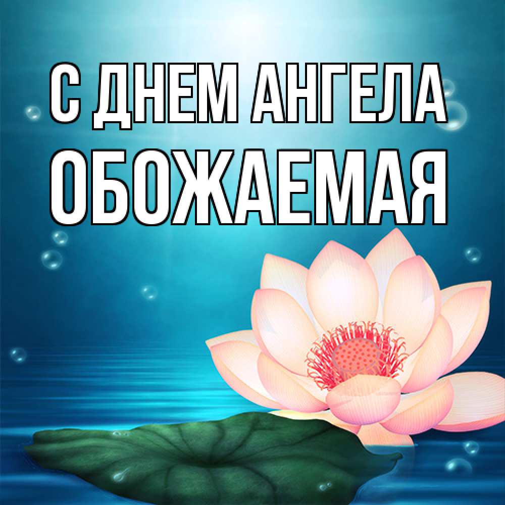 Открытка на каждый день с именем, обожаемая С днем ангела кувшинка Прикольная открытка с пожеланием онлайн скачать бесплатно 