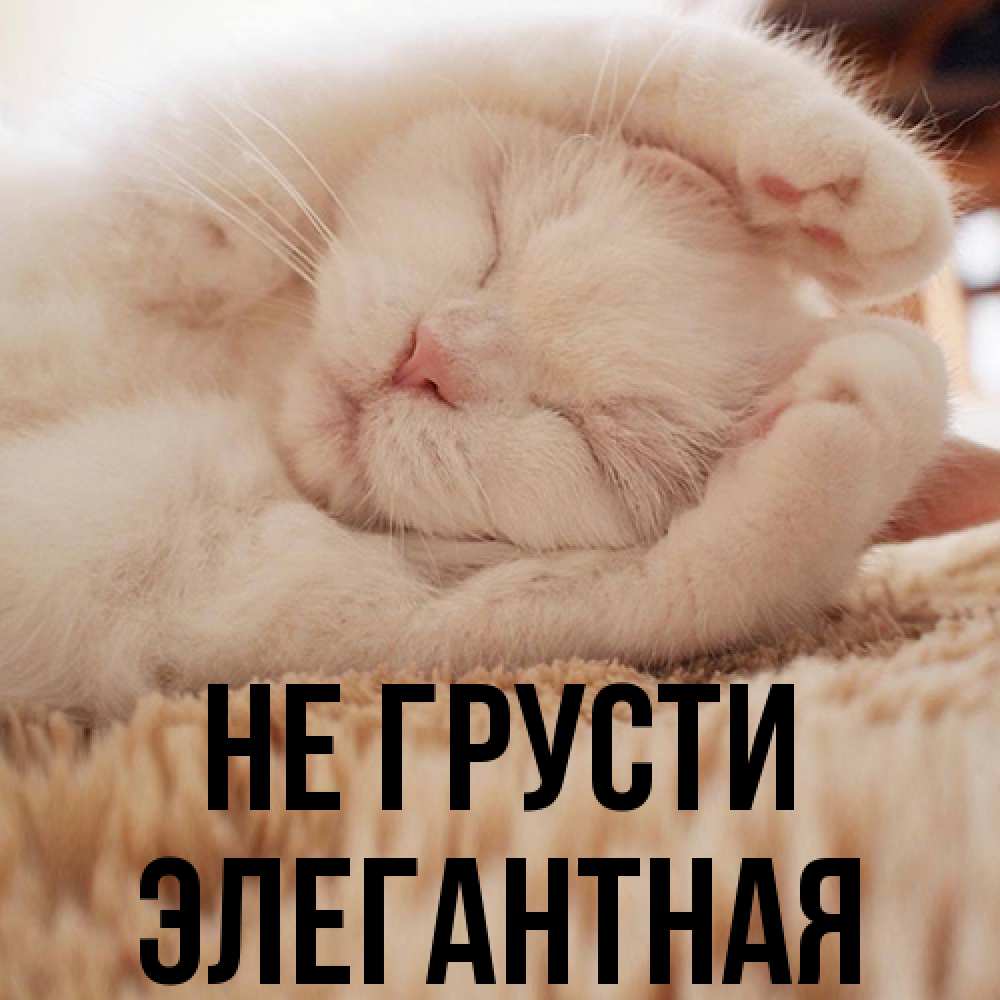 Открытка на каждый день с именем, элегантная Не грусти Котенок спит Прикольная открытка с пожеланием онлайн скачать бесплатно 