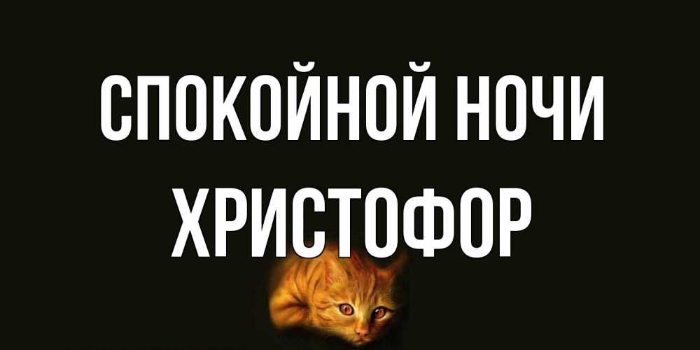 Открытка на каждый день с именем, Христофор Спокойной ночи кот Прикольная открытка с пожеланием онлайн скачать бесплатно 