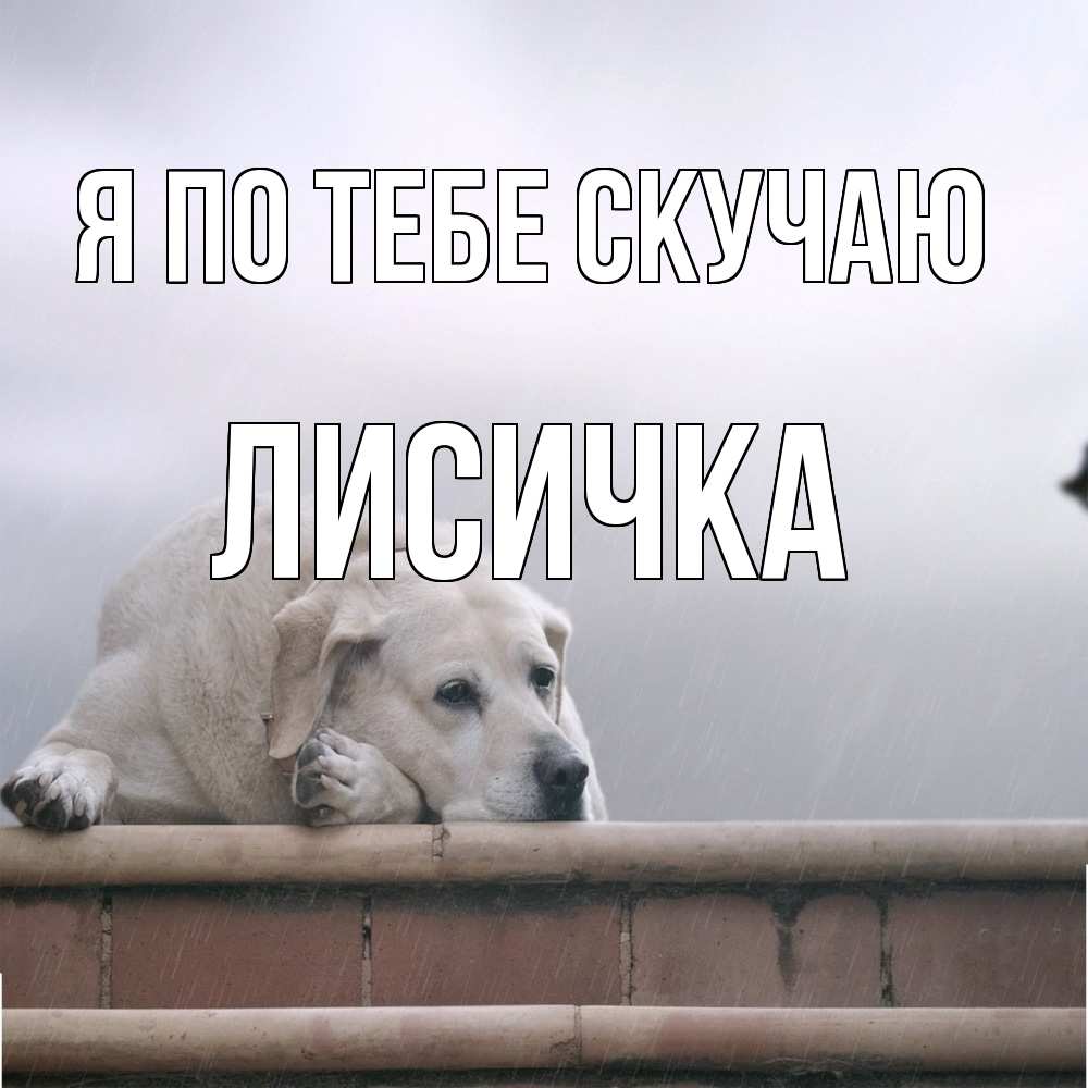 Открытка на каждый день с именем, Лисичка Я по тебе скучаю ждет Прикольная открытка с пожеланием онлайн скачать бесплатно 