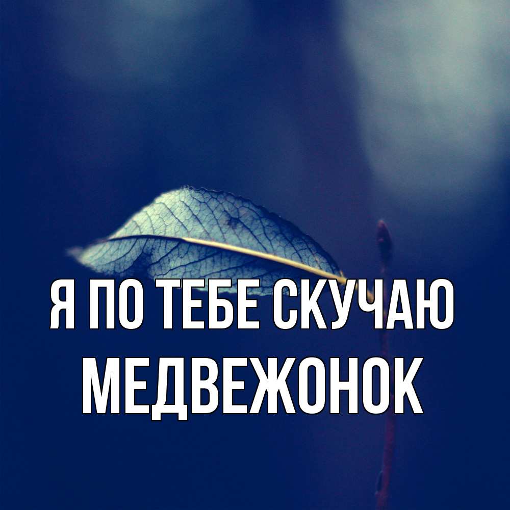 Открытка на каждый день с именем, медвежонок Я по тебе скучаю одна ветка 1 Прикольная открытка с пожеланием онлайн скачать бесплатно 