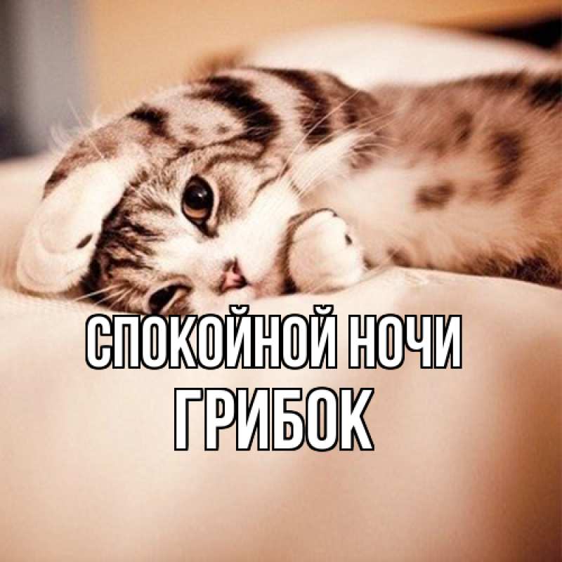 Картинка Спокойной ночи, Грибок
