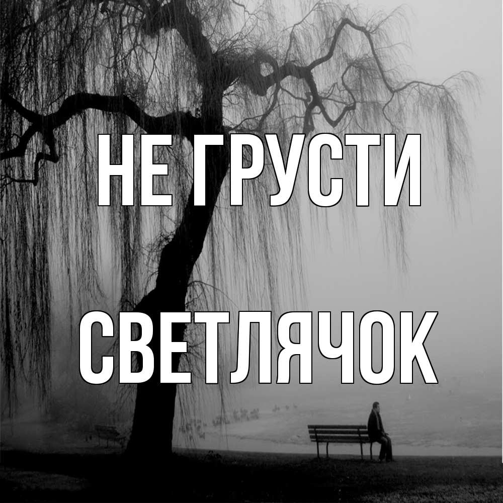 Открытка на каждый день с именем, Светлячок Не грусти висящие ветки дерева и лавочка под деревом Прикольная открытка с пожеланием онлайн скачать бесплатно 