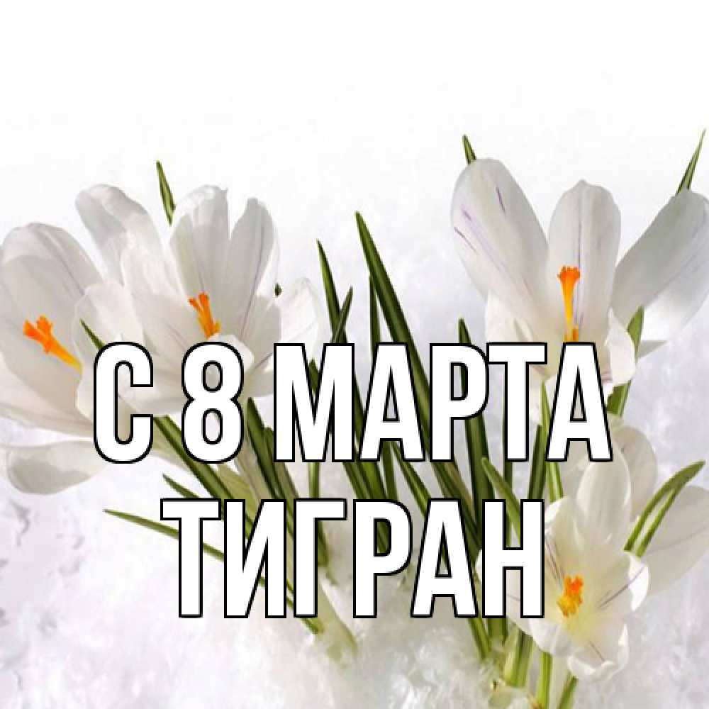 Открытка на каждый день с именем, Тигран C 8 МАРТА под снегом Прикольная открытка с пожеланием онлайн скачать бесплатно 