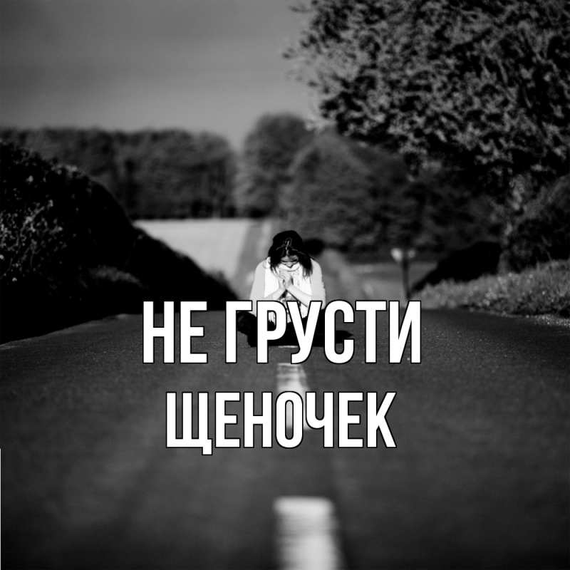 Картинка Не грусти, Щеночек