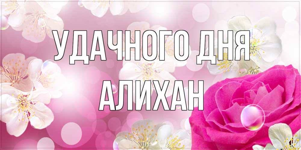 Открытка на каждый день с именем, Алихан Удачного дня красивые цветы Прикольная открытка с пожеланием онлайн скачать бесплатно 