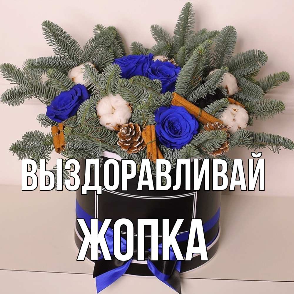 Открытка на каждый день с именем, Жопка Выздоравливай короче кто то загрузил эти шишки Прикольная открытка с пожеланием онлайн скачать бесплатно 