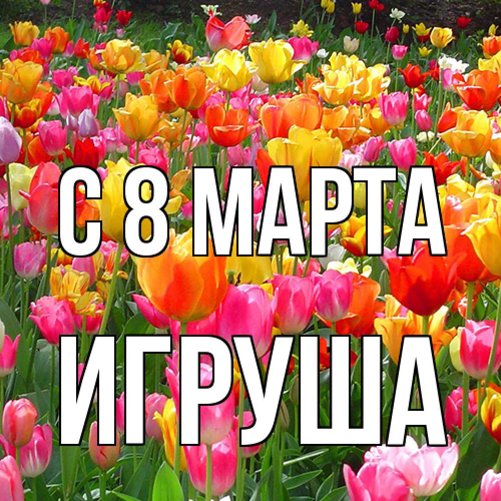 Открытка на каждый день с именем, Игруша C 8 МАРТА на международный женский день Прикольная открытка с пожеланием онлайн скачать бесплатно 