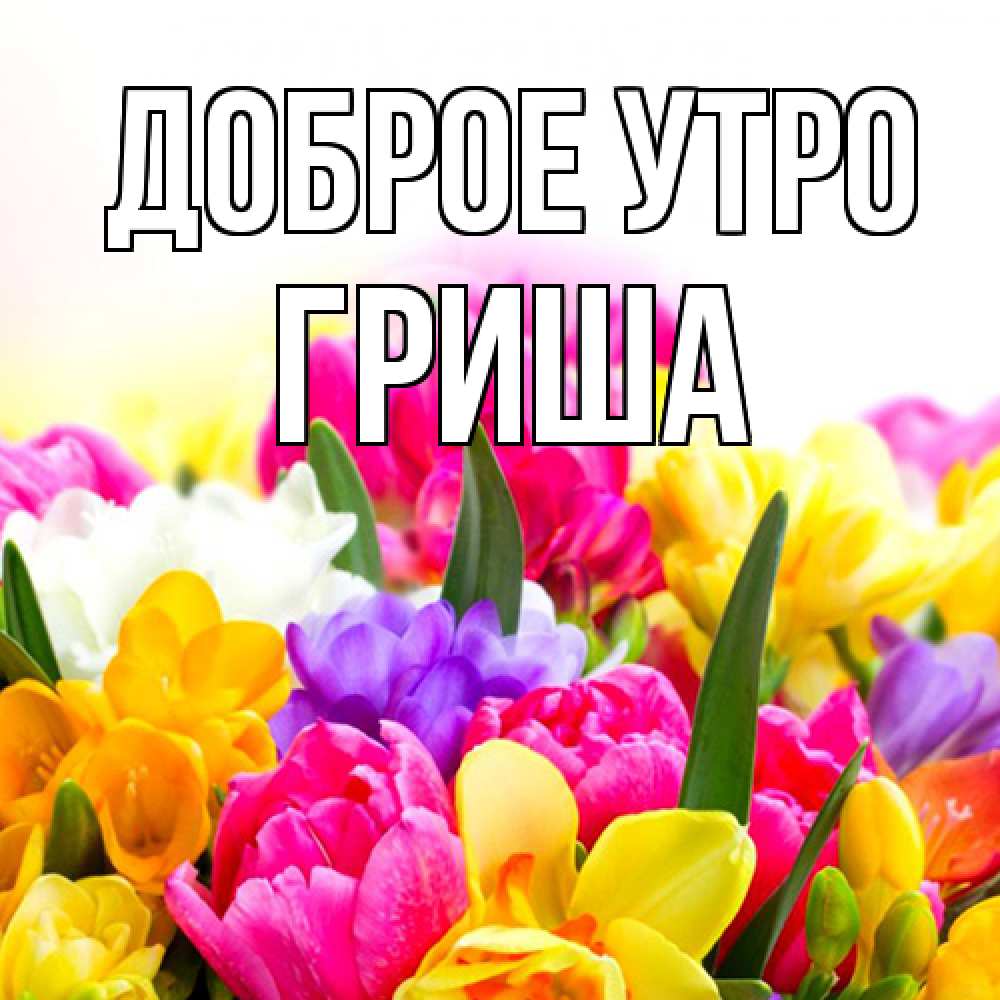 Открытка на каждый день с именем, Гриша Доброе утро создать открытку со свое подписью Прикольная открытка с пожеланием онлайн скачать бесплатно 