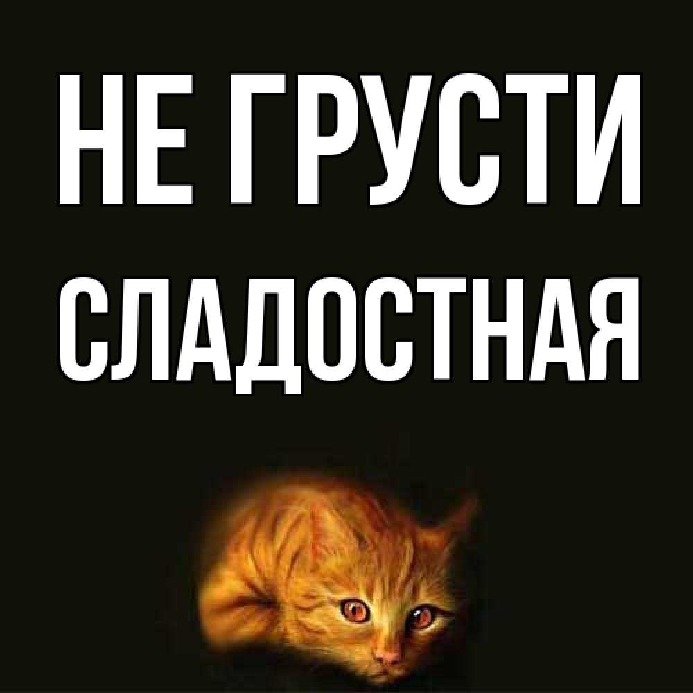Открытка на каждый день с именем, Сладостная Не грусти лежащий кот в темноте Прикольная открытка с пожеланием онлайн скачать бесплатно 