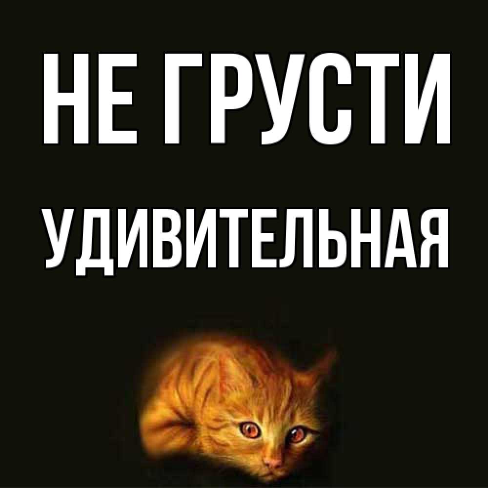 Открытка на каждый день с именем, удивительная Не грусти лежащий кот в темноте Прикольная открытка с пожеланием онлайн скачать бесплатно 