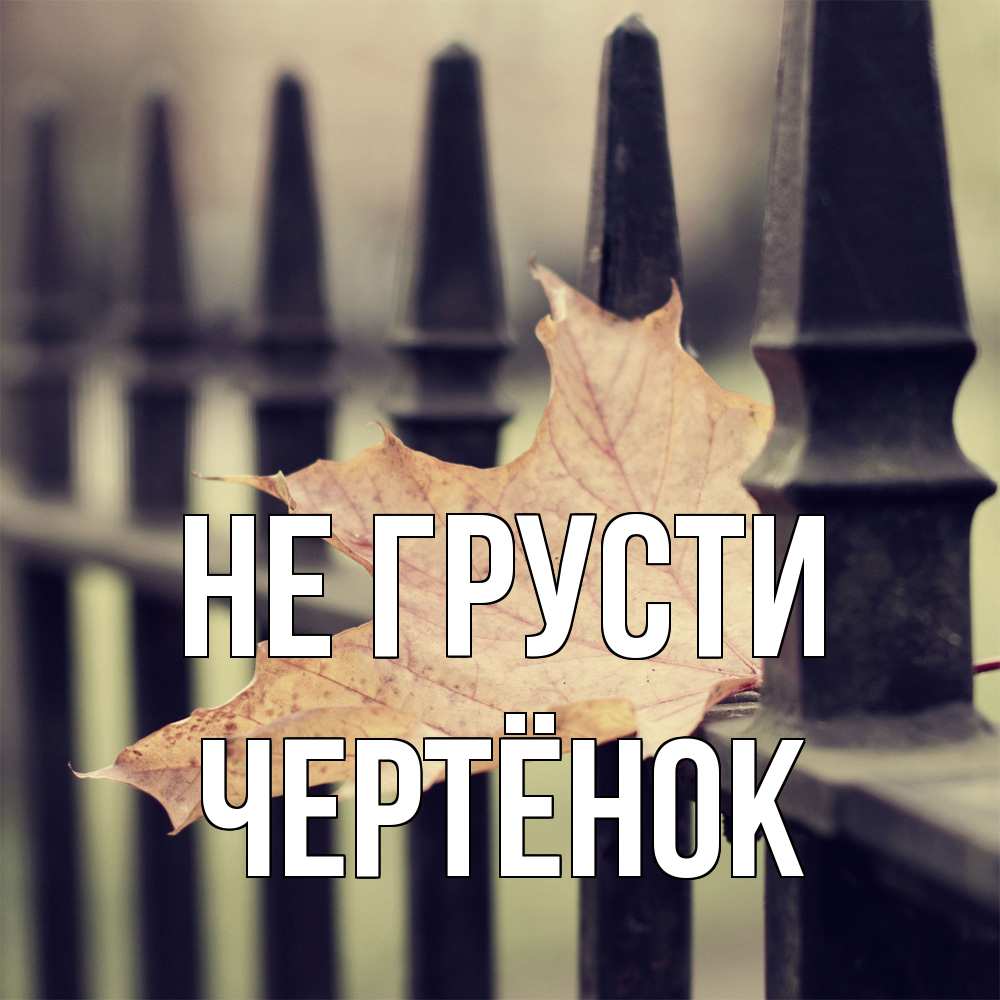 Открытка на каждый день с именем, Чертёнок Не грусти лист клена Прикольная открытка с пожеланием онлайн скачать бесплатно 