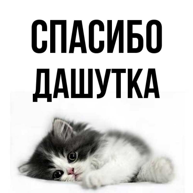 Открытка с именем, Дашутка, Спасибо