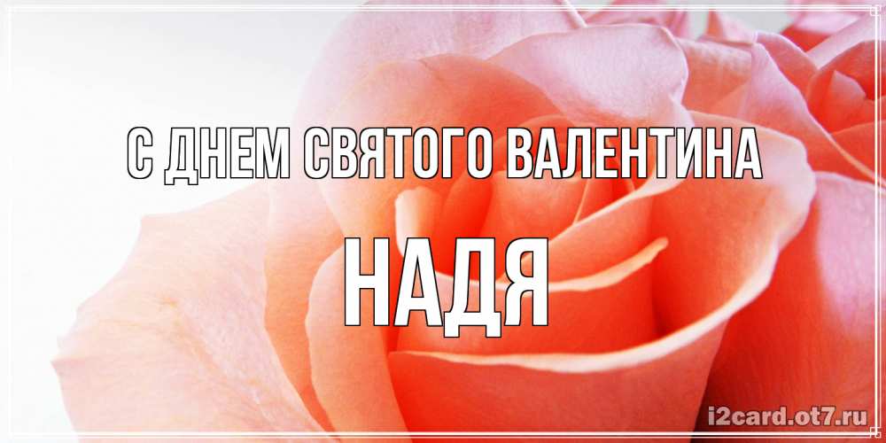 Открытка на каждый день с именем, Надя С днем Святого Валентина открытка на день Святого Валентина с розовой розой Прикольная открытка с пожеланием онлайн скачать бесплатно 