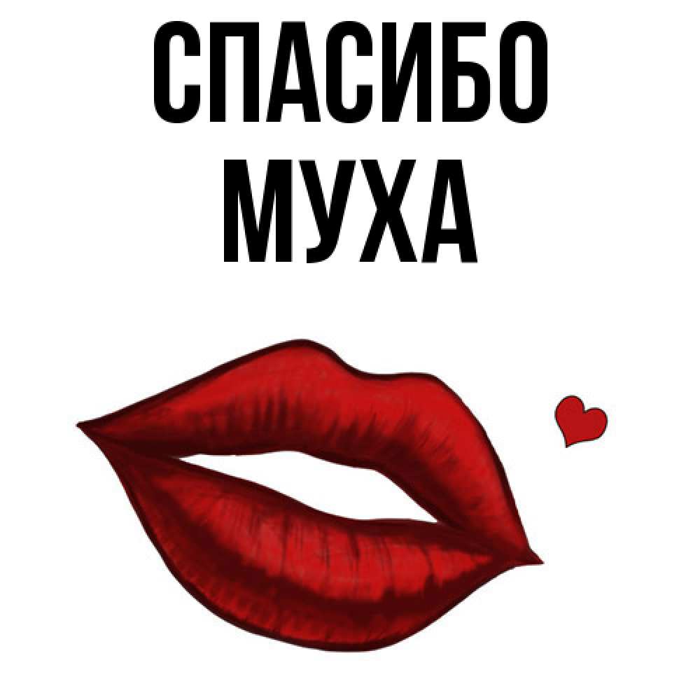 Открытка на каждый день с именем, Муха Спасибо целую нежно с сердечком Прикольная открытка с пожеланием онлайн скачать бесплатно 