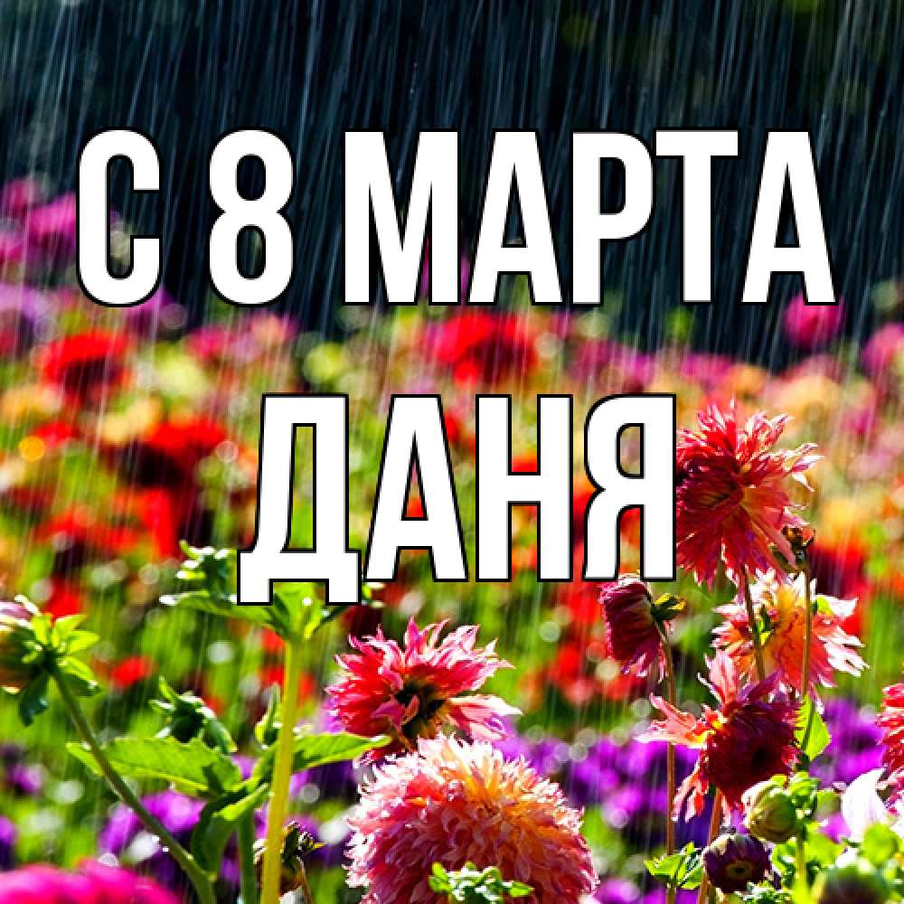 Открытка на каждый день с именем, Даня C 8 МАРТА цветы под дождиком к международному женскому дню Прикольная открытка с пожеланием онлайн скачать бесплатно 