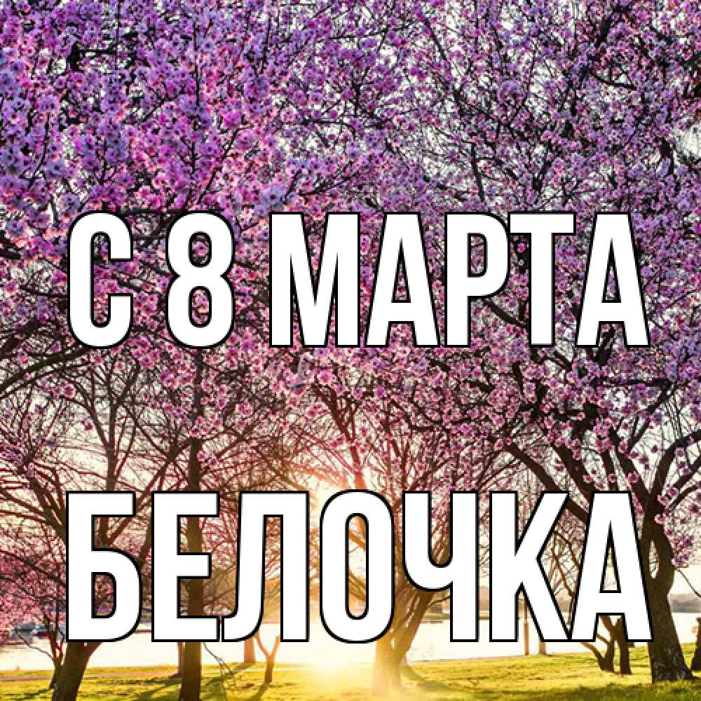 Открытка на каждый день с именем, Белочка C 8 МАРТА международный женский день Прикольная открытка с пожеланием онлайн скачать бесплатно 
