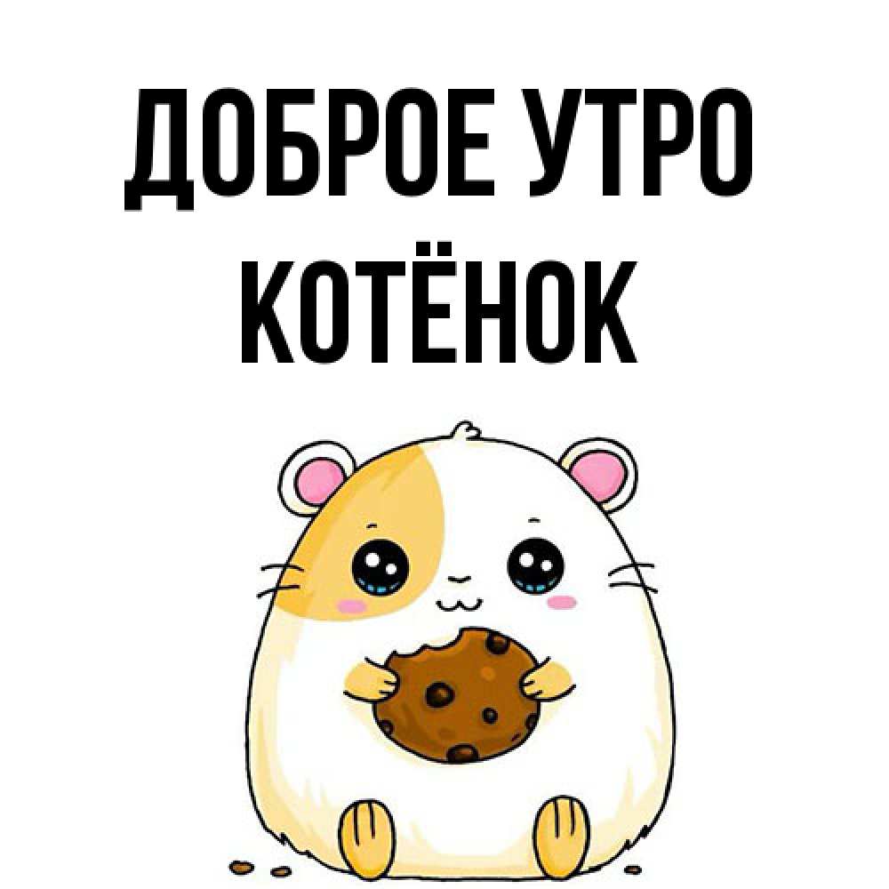 Открытка на каждый день с именем, Котёнок Доброе утро есть печеньку. Утречко Прикольная открытка с пожеланием онлайн скачать бесплатно 