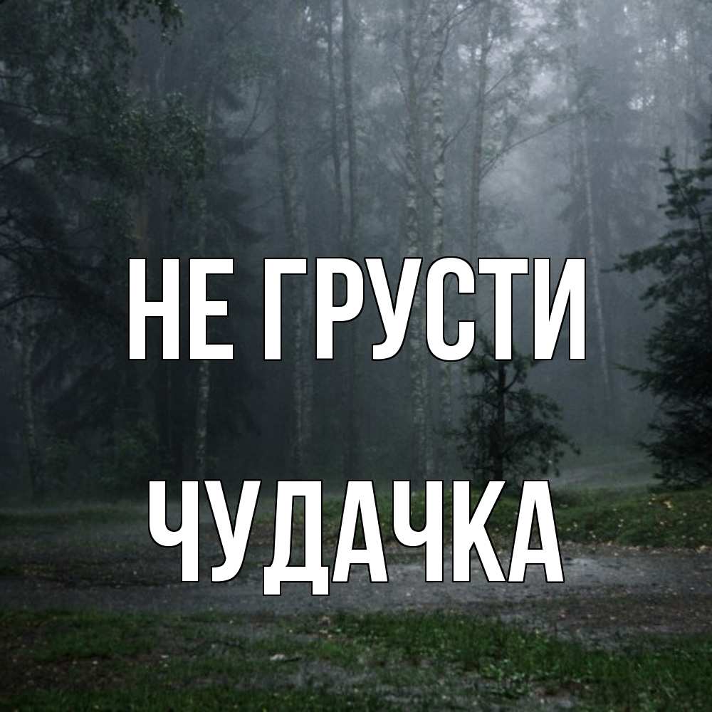 Открытка на каждый день с именем, Чудачка Не грусти осень Прикольная открытка с пожеланием онлайн скачать бесплатно 