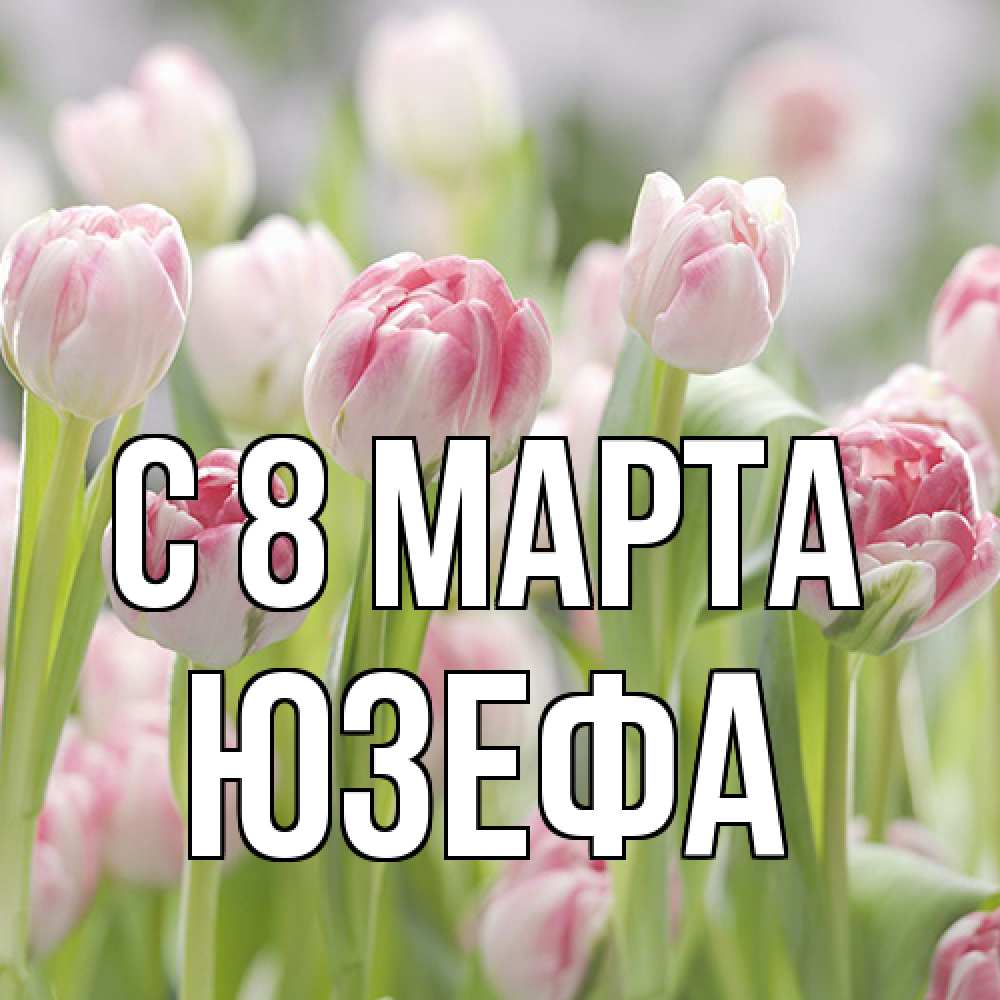 Открытка на каждый день с именем, Юзефа C 8 МАРТА цветы Прикольная открытка с пожеланием онлайн скачать бесплатно 