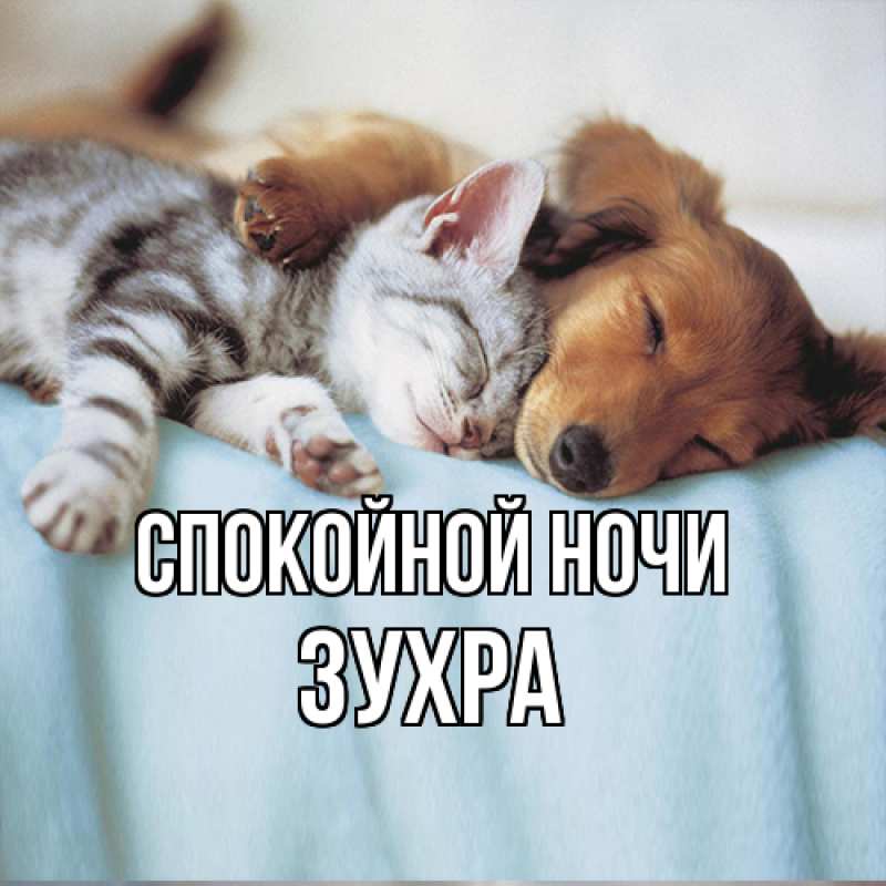 Картинка Спокойной ночи, Зухра