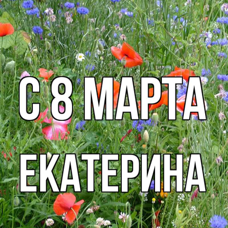 Картинка C 8 МАРТА, Екатерина