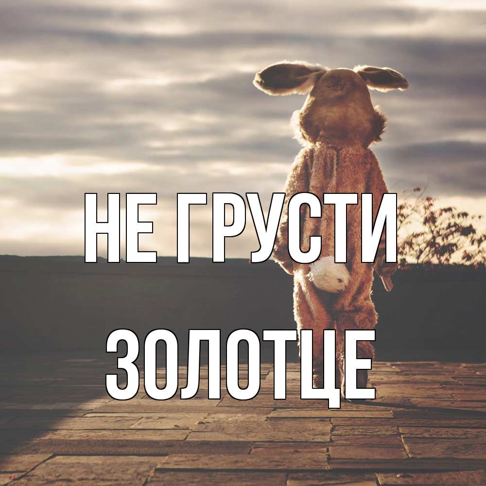 Открытка на каждый день с именем, Золотце Не грусти со спины Прикольная открытка с пожеланием онлайн скачать бесплатно 