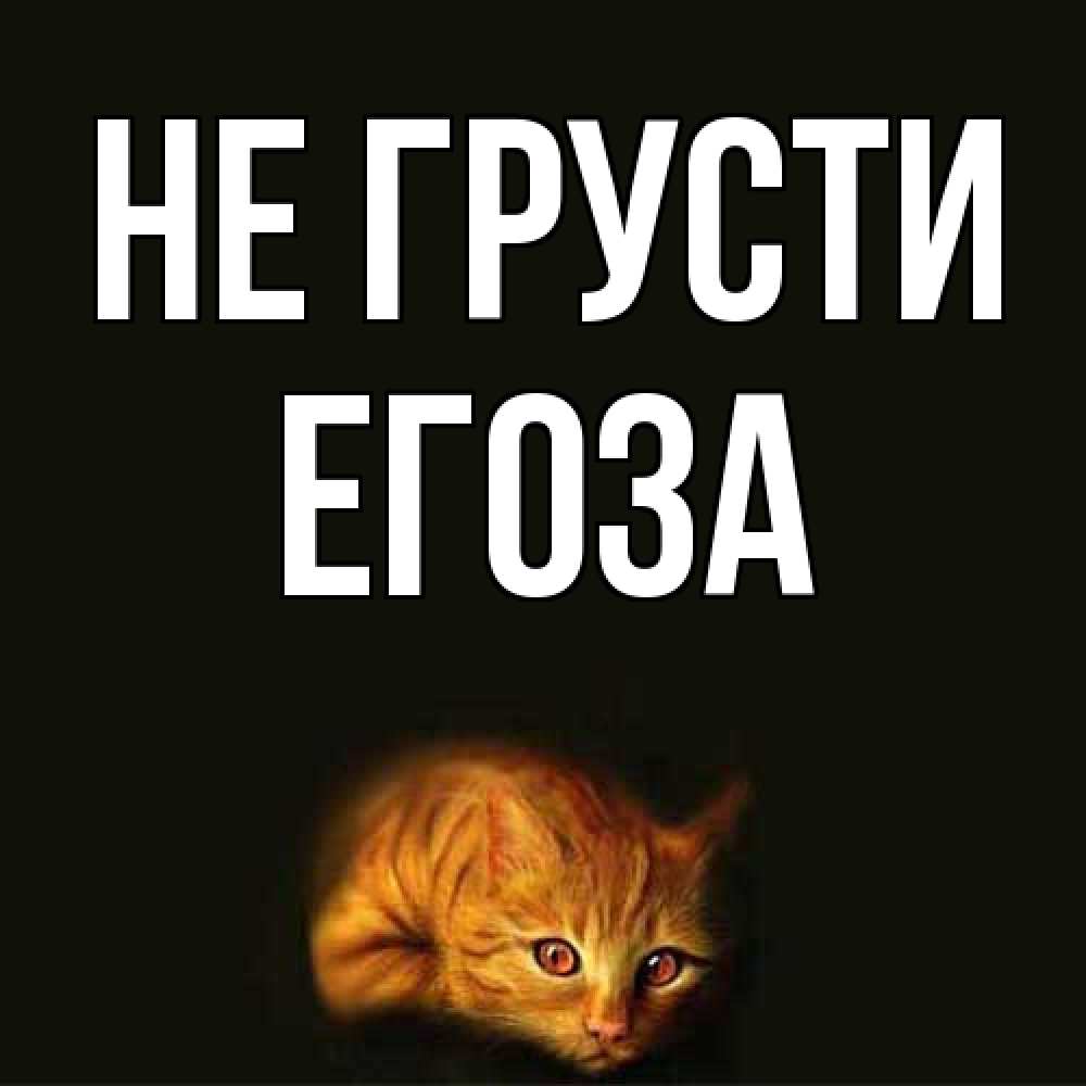 Открытка на каждый день с именем, егоза Не грусти лежащий кот в темноте Прикольная открытка с пожеланием онлайн скачать бесплатно 