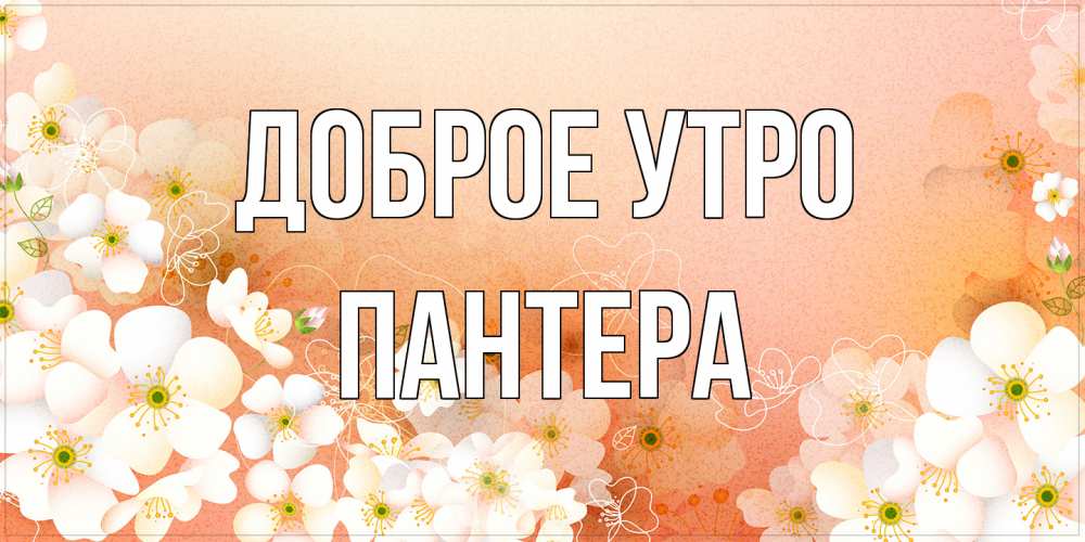 Открытка на каждый день с именем, Пантера Доброе утро доброе утро с цветами Прикольная открытка с пожеланием онлайн скачать бесплатно 