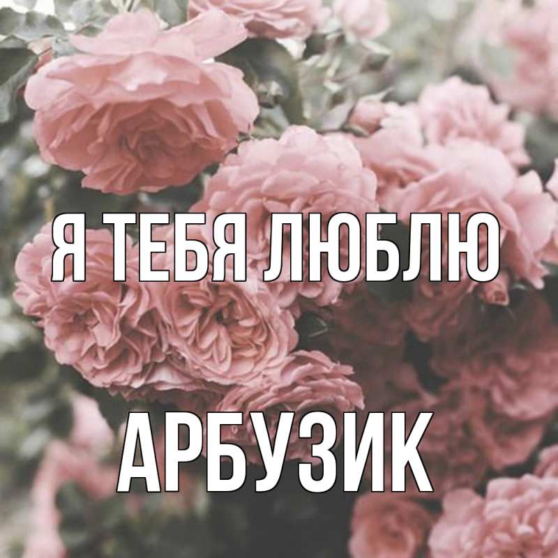 Картинка Я тебя люблю, Арбузик