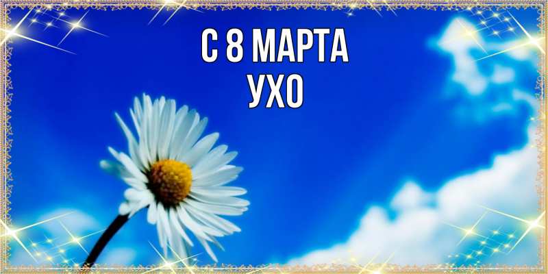 Картинка C 8 МАРТА, Ухо