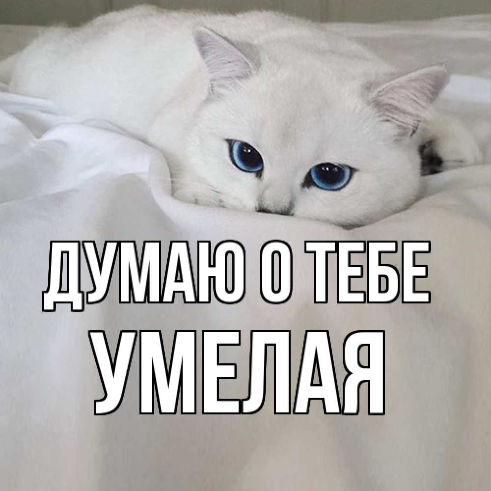 Открытка на каждый день с именем, Умелая Думаю о тебе я очень по тебе скучаю и тоскую Прикольная открытка с пожеланием онлайн скачать бесплатно 