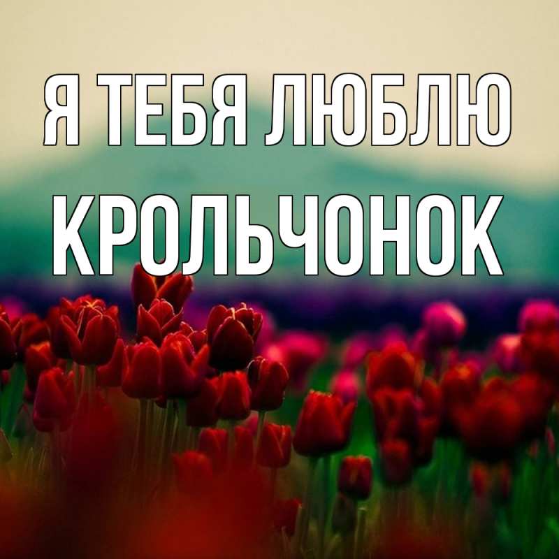 Картинка Я тебя люблю, Крольчонок