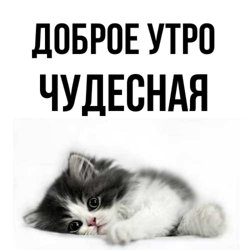 Картинка Доброе утро, Чудесная