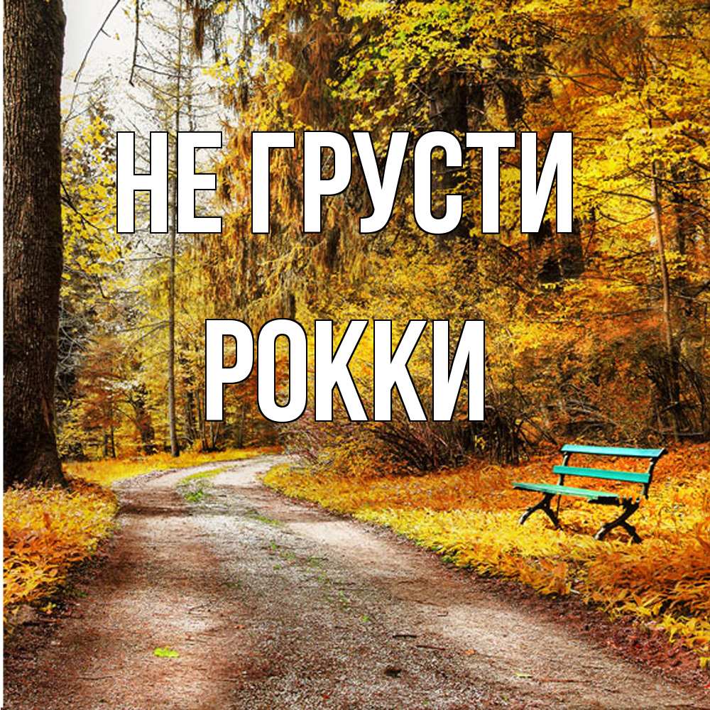 Открытка на каждый день с именем, Рокки Не грусти зеленая лавочка Прикольная открытка с пожеланием онлайн скачать бесплатно 