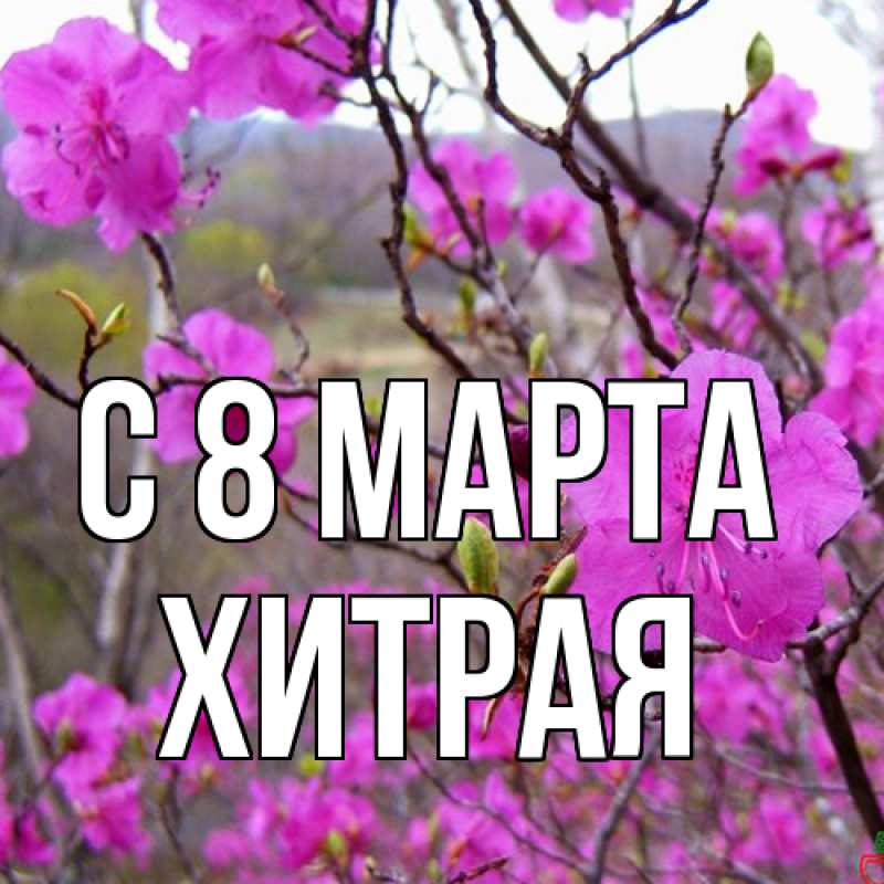 Картинка C 8 МАРТА, хитрая