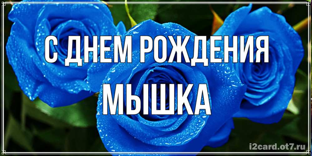 Открытка на каждый день с именем, Мышка С днем рождения розы с синим цветом Прикольная открытка с пожеланием онлайн скачать бесплатно 