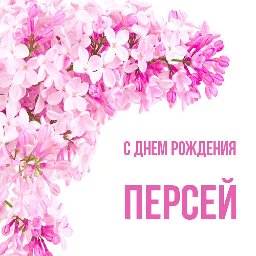 Открытка на каждый день с именем, Персей С днем рождения Сирень на белом фоне Прикольная открытка с пожеланием онлайн скачать бесплатно 