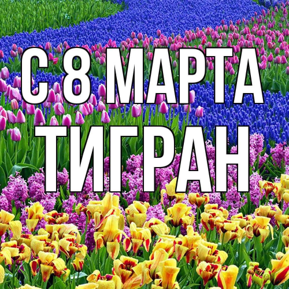 Открытка на каждый день с именем, Тигран C 8 МАРТА цветы Прикольная открытка с пожеланием онлайн скачать бесплатно 