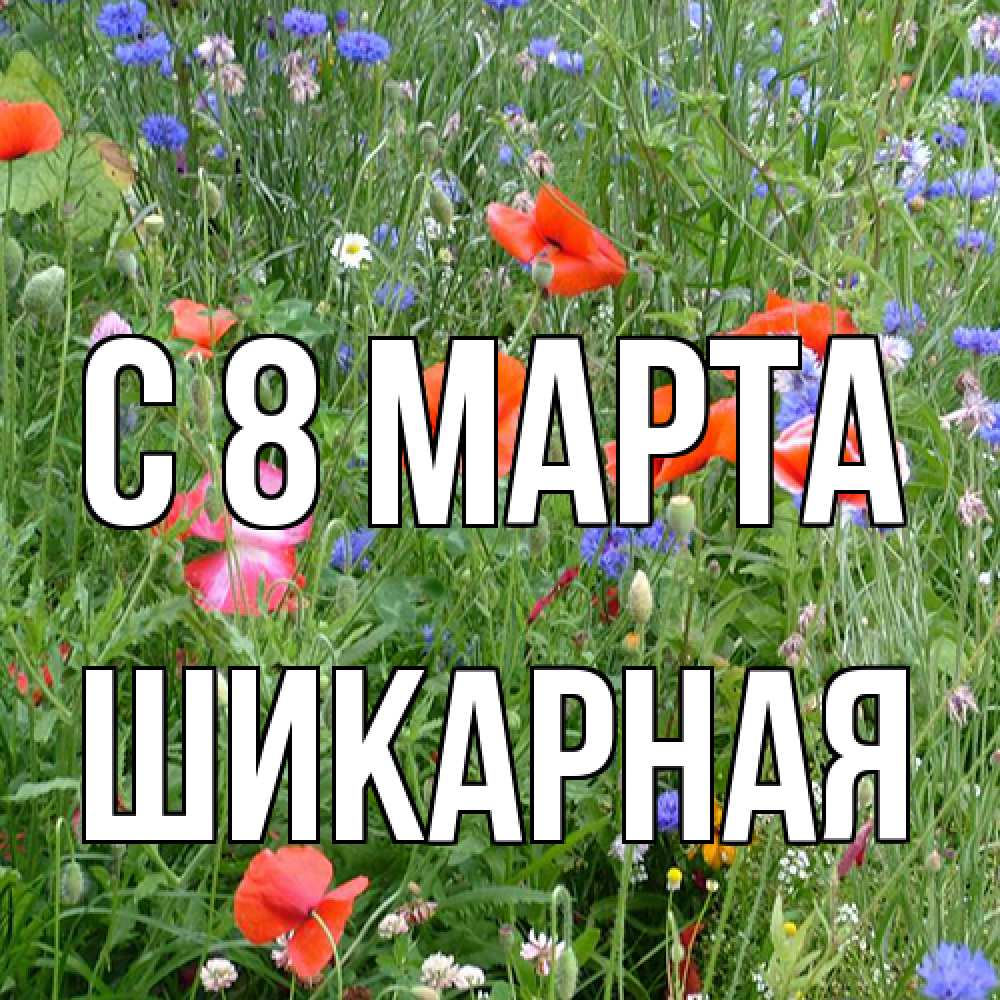 Открытка на каждый день с именем, шикарная C 8 МАРТА международный женский день 4 Прикольная открытка с пожеланием онлайн скачать бесплатно 