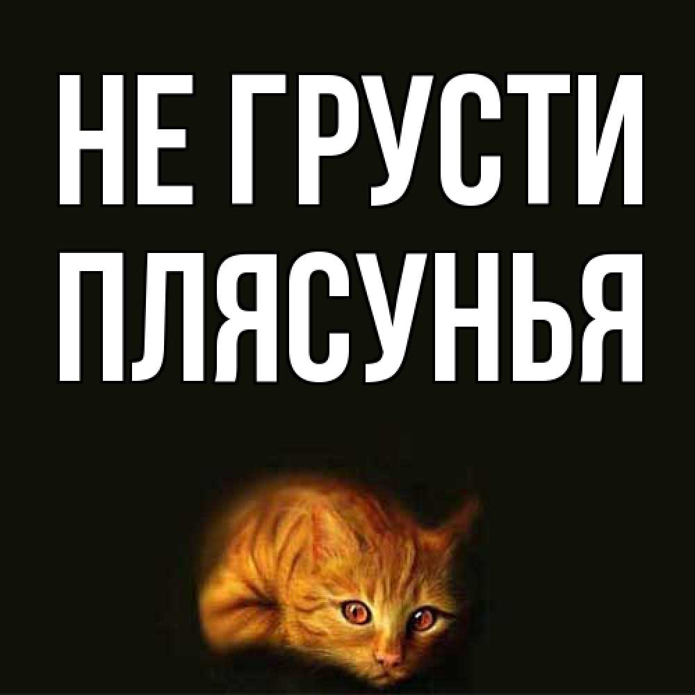Открытка на каждый день с именем, Плясунья Не грусти лежащий кот в темноте Прикольная открытка с пожеланием онлайн скачать бесплатно 